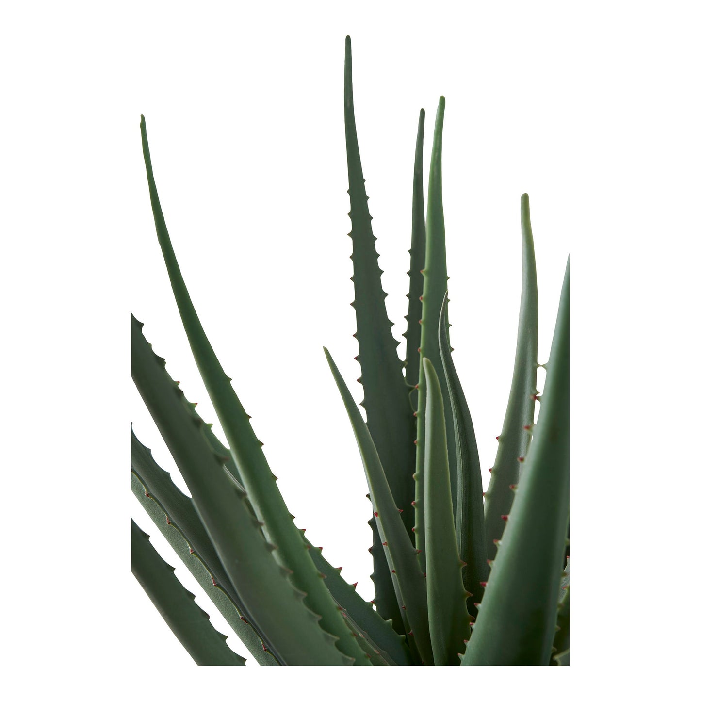 Aloe Vera artificielle verte en pot – plante décorative Ht 51 cm
