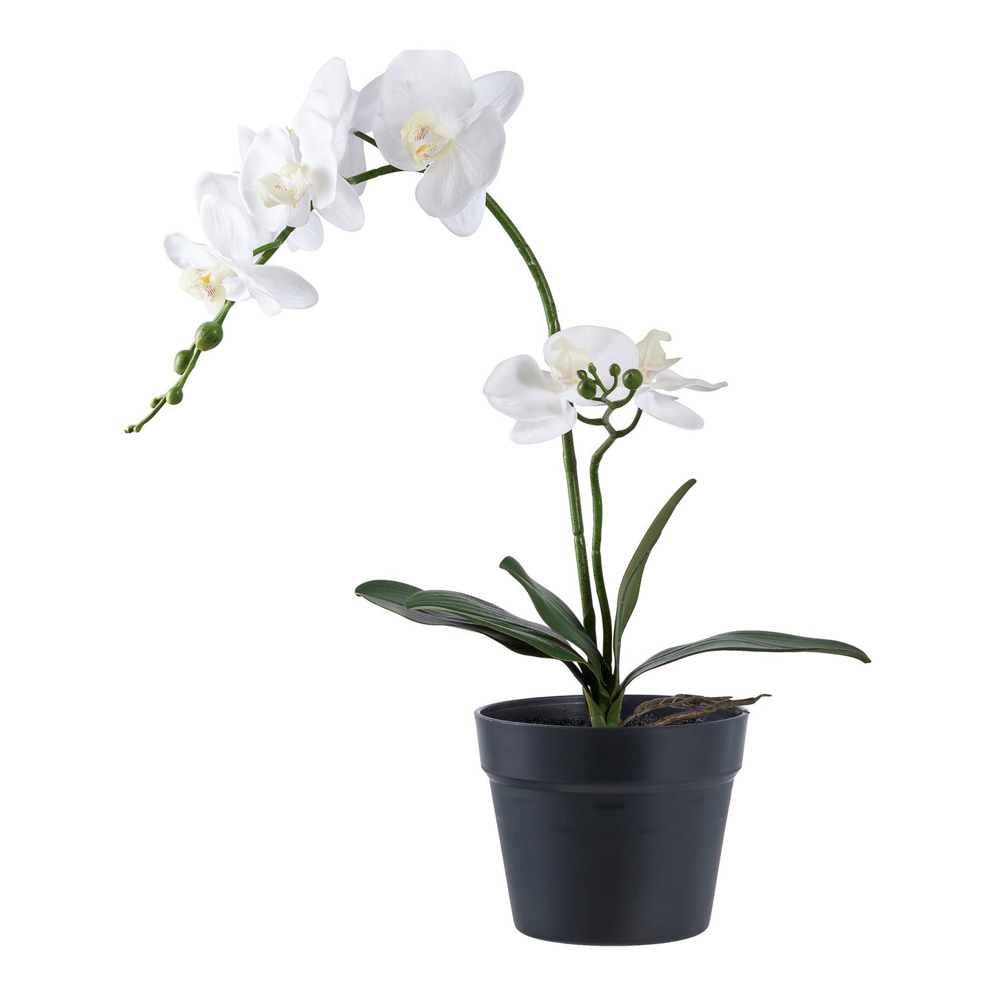 Orchidée artificielle verte/blanche – Ht 49 cm