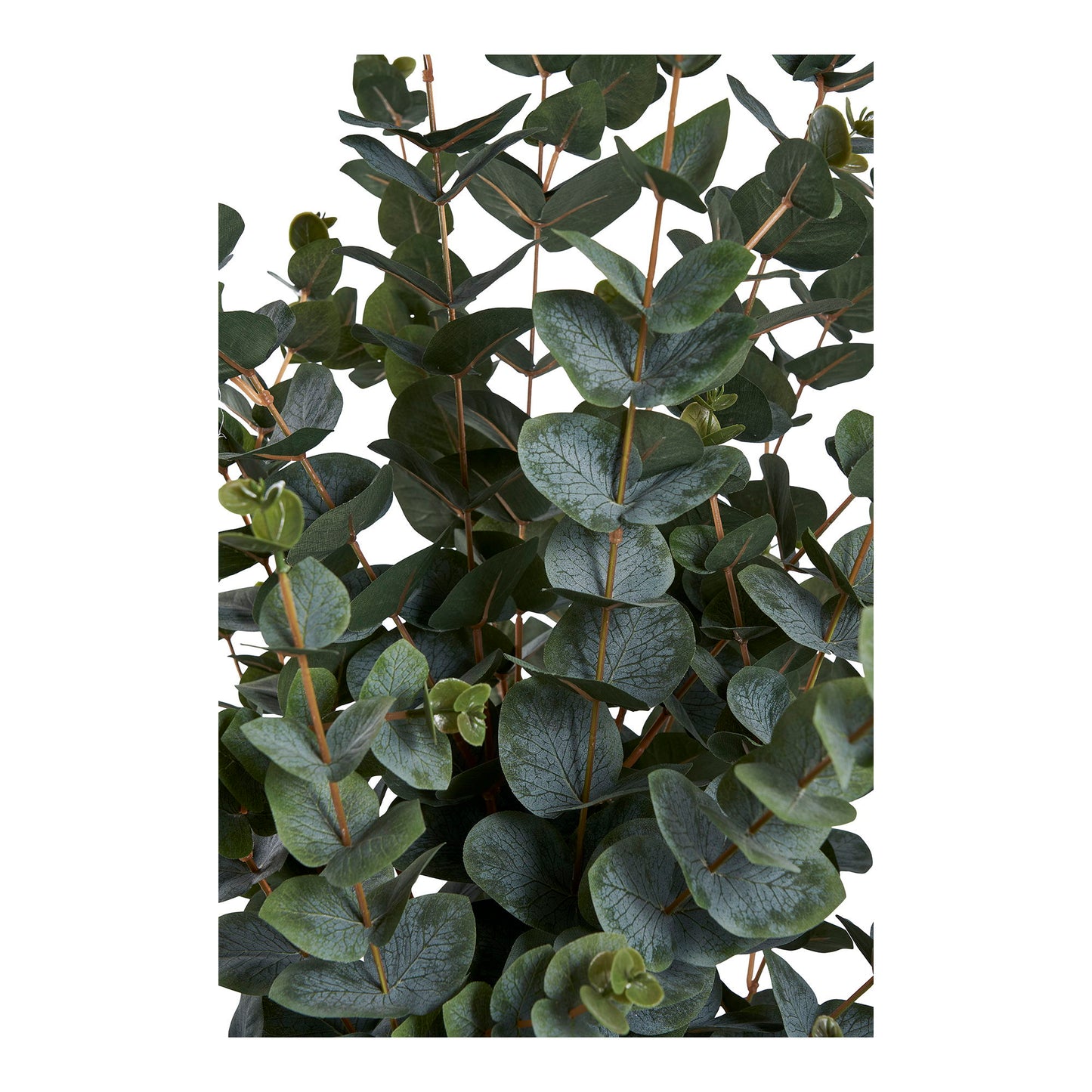 Arbre d’eucalyptus artificiel vert – Ht 120 cm