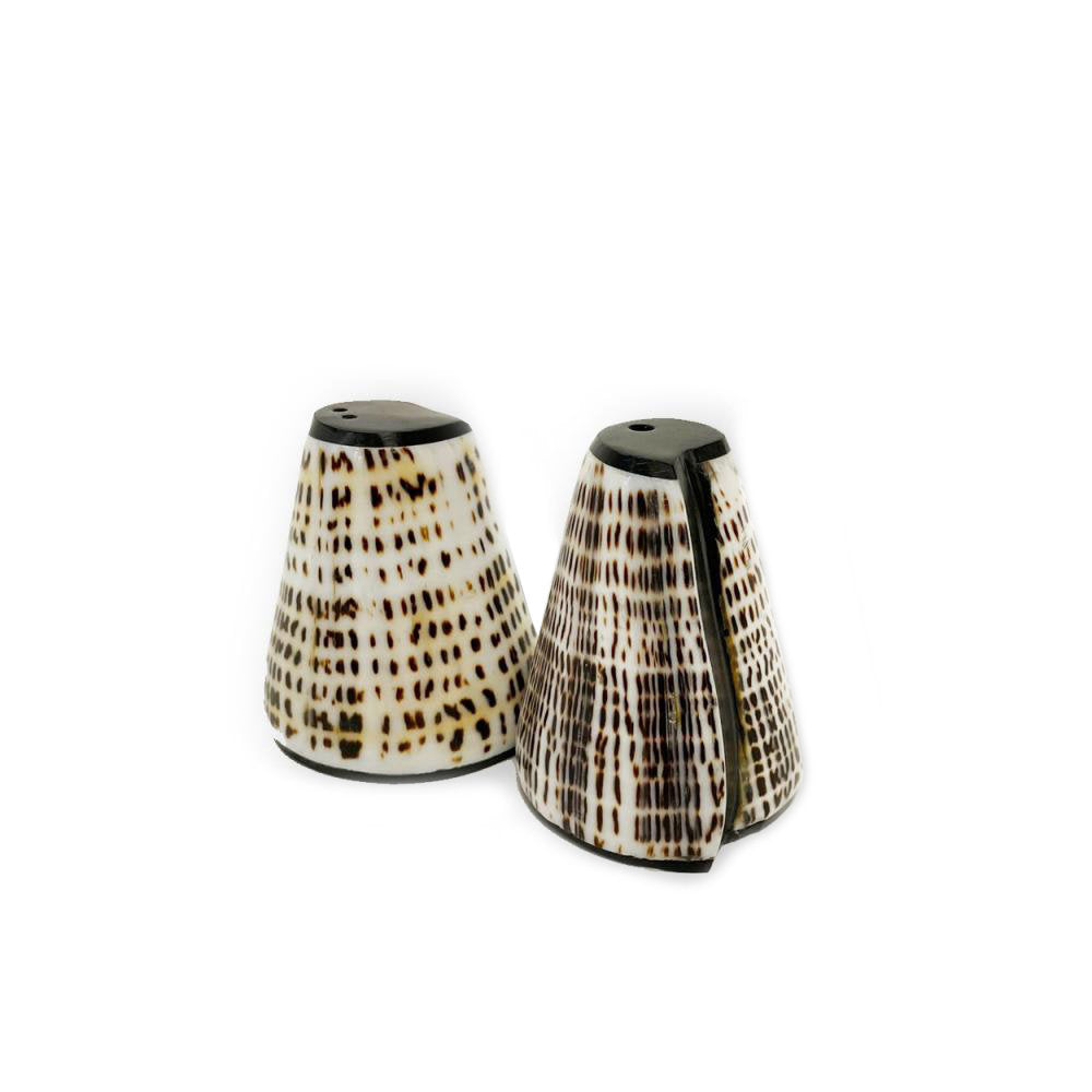 L'Ensemble de Coquillages Sel et Peppa - Lot de 2