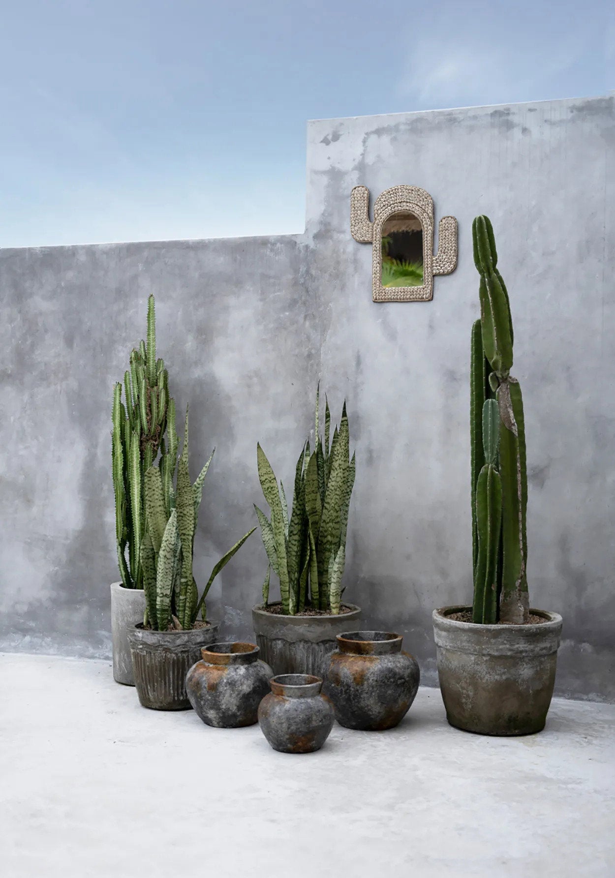 Miroir mural en coquillages forme cactus – Cactus Shell Spiegel Naturel